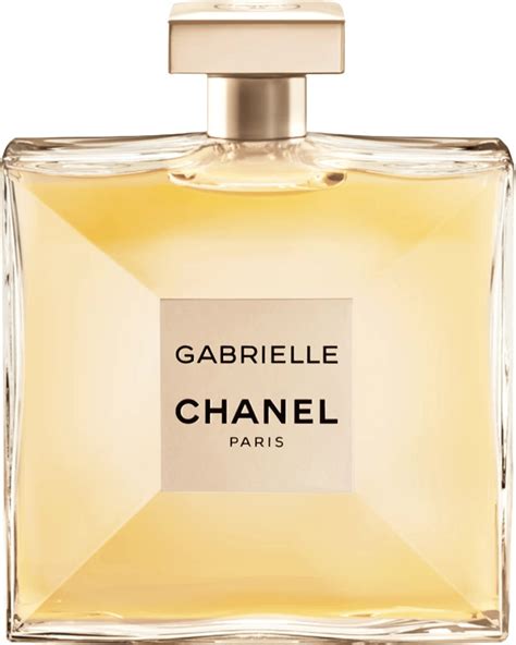 chanel gabrieele|chanel gabrielle best price.